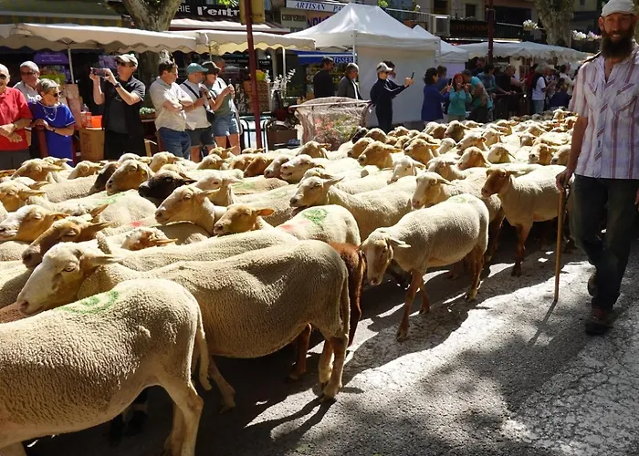 Le Deffend Willa Puimoisson