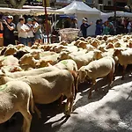 Le Deffend Βίλα Puimoisson